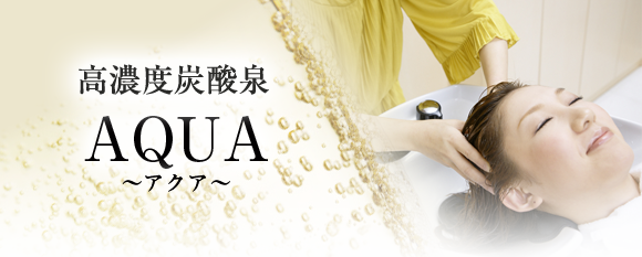 高濃度炭酸泉　AQUA（アクア）