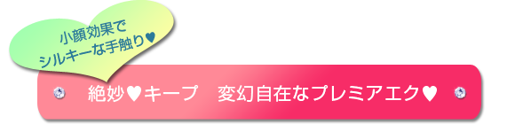 絶妙キープ　変幻自在なプレミアエク