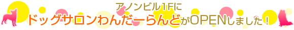 ドッグサロンわんだーらんど